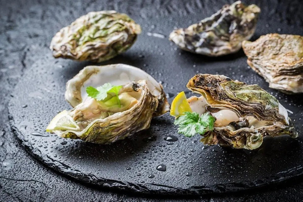 Ostriche e crudités di mare del Ristorante Miro